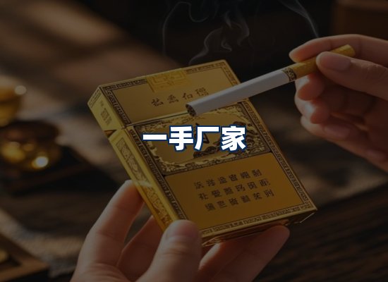 专业团队办公环境